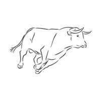 bull vector sketch