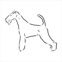 dog vector sketch