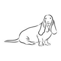 dog vector sketch