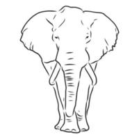 dibujo vectorial de elefante vector