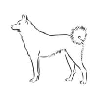 dog vector sketch