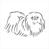 dog vector sketch