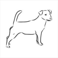 bosquejo del vector del perro