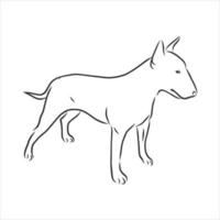 dog vector sketch