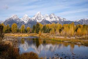 colores otoñales a lo largo del río serpiente en el parque nacional grand teton foto