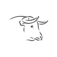 bull vector sketch