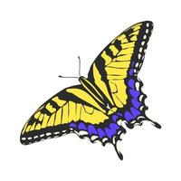 butterfly vector sketch