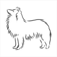 dog vector sketch