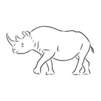 rhino vector sketch