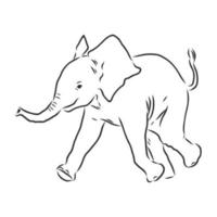 dibujo vectorial de elefante vector