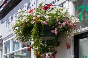 East Grinstead, West Sussex, UK, 2014. View of a hanging basket of flowers in East Grinstead photo