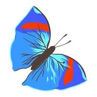 butterfly vector sketch