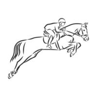 horse training vector sketch