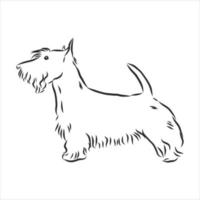 dog vector sketch