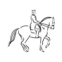 horse training vector sketch