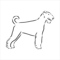 dog vector sketch