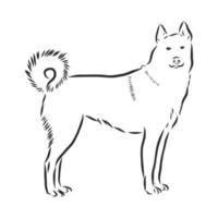 dog vector sketch