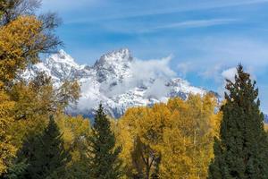 Wyoming, USA. Autumnal Colours in the Grand Teton National Park photo