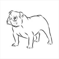 dog vector sketch