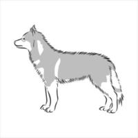 dog vector sketch