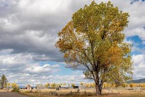 JACKSON, WYOMING, USA - OCTOBER 1. View of Mormon Row near Jackson Wyoming on October 1, 2013 photo