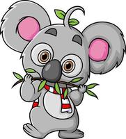 The koala is standing and eating twigs while looking at camera vector