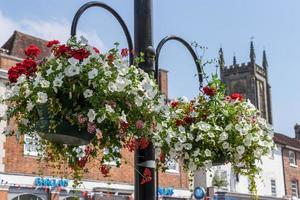 Hanging basket of flowers attached to a lamp post in East Grinstead photo