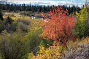 Autumn Colours in Wyoming photo