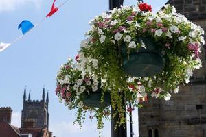 cesta colgante de flores unida a un poste de luz en East grinstead foto