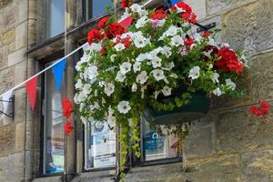 Hanging baskets outside a shop in East Grinstead photo