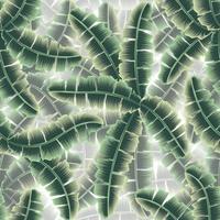 green banana leaves seamless tropical pattern plant with monochromatic color style and beautiful shadow on white background. cloth texture or wallpaper. exotic beach summer themed. nature background vector