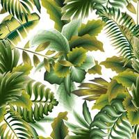 Green Botanical seamless tropical pattern with plants and abstract leaves on white background. summer design. nature wallpaper. tropical background. fashionable prints texture vector