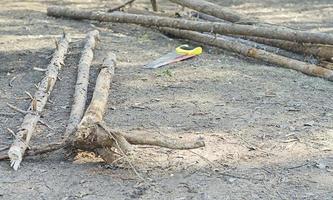 firewood and hand hacksaw for cutting. photo