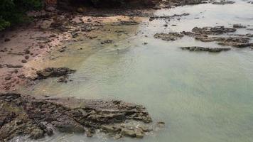 Beautiful aerial view of the island coastline in Phang Nga Bay of the Andaman Sea, surrounded by pine trees and small rocks. video