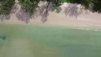 skön hav vågor och vit sand strand i de tropisk ö. mjuk vågor av blå hav på sandig strand bakgrund från topp se från drönare. begrepp av avslappning och resa på semester. video