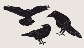 Set black Raven or Crow bird. Side view. Cartoon style, flat design. Naruto vector