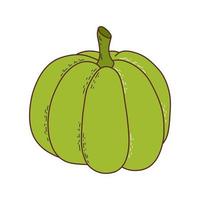 Cute pumpkin. Thanksgiving and halloween element. Vector illustration in hand drawn style