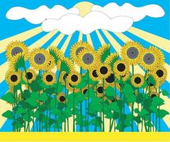 a field of blooming sunflowers and a peaceful summer sky and sun vector