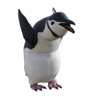 3d Penguin model illustration png