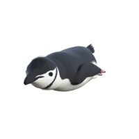 illustration de modèle de pingouin 3d png