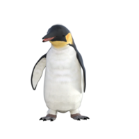 3d pingvin modell illustration png
