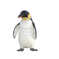 3d Penguin model illustration png