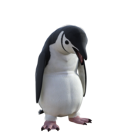 ilustração de modelo de pinguim 3D png
