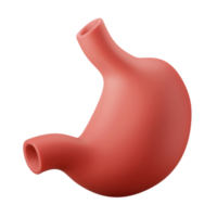 anatomia estômago humano órgão interno ilustração de ícone 3d