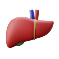 fígado humano anatomia do órgão interno hepático ilustração do ícone 3d png