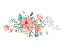illustration de bouquet de fleurs aquarelle anémone corail png