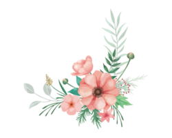 acquerello corallo anemone fiori mazzo illustrazione png