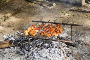 Pork Kebab Shashlik Skewers Barbecue on picnic photo