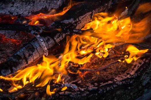 part of Night campfire with available space photo