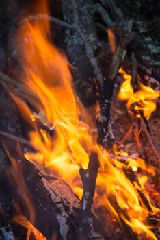 part of Night campfire with available space photo